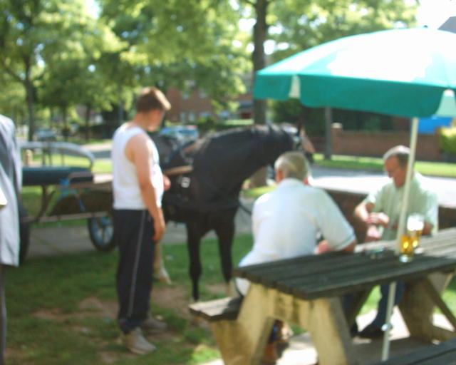 Nice fuzzy horsey ;)