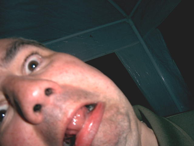 Penguin close-ups can seriously damage your eyesight!