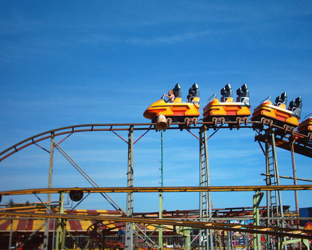 The big coaster doesn't look as high from up here.