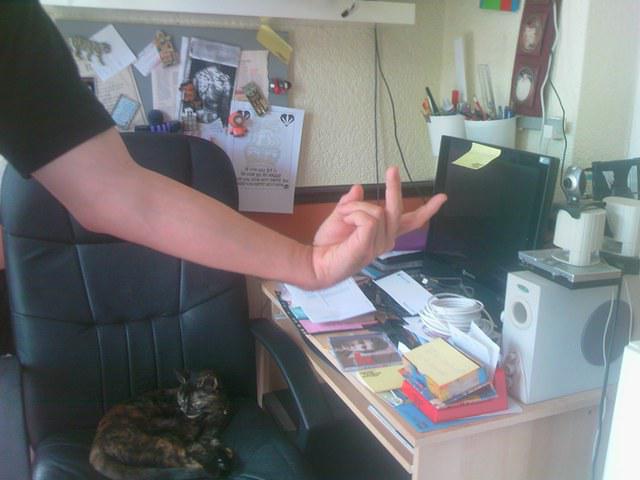 That's the webcam...