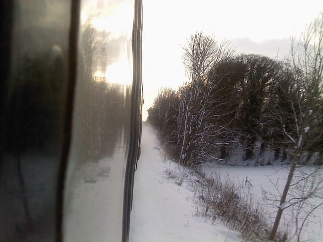P060110_12.49.jpg