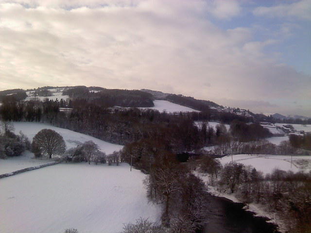 P060110_12.49_[01].jpg