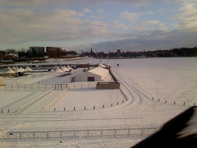 P060110_14.23.jpg