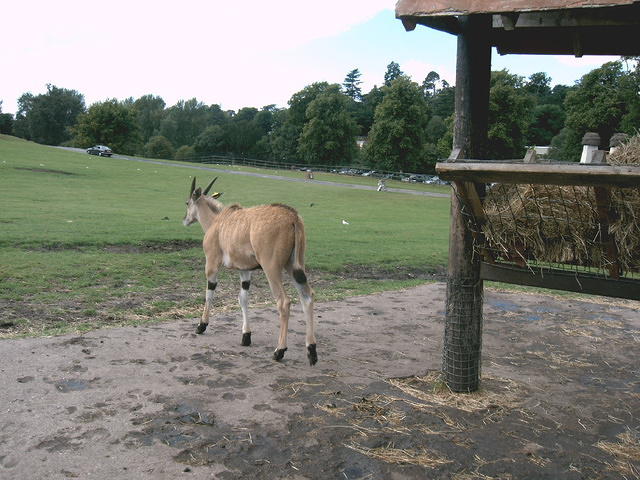 IMAG0001.JPG