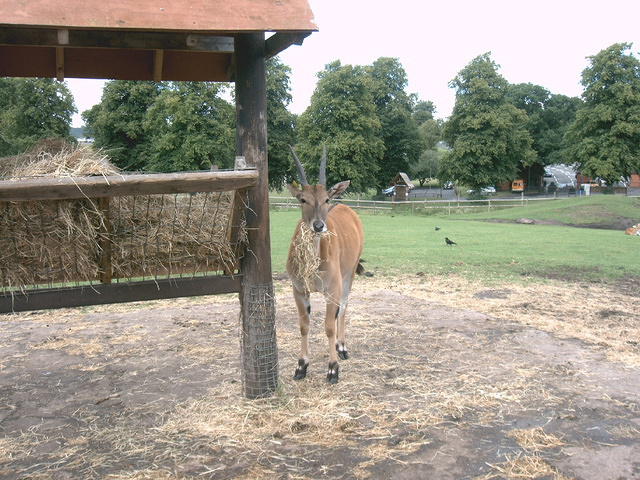 IMAG0002.JPG