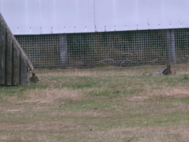 IMAG0006.JPG