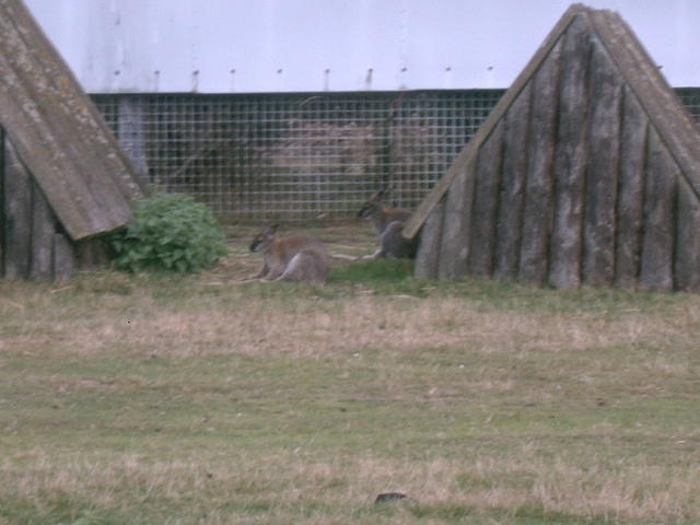 IMAG0007.JPG