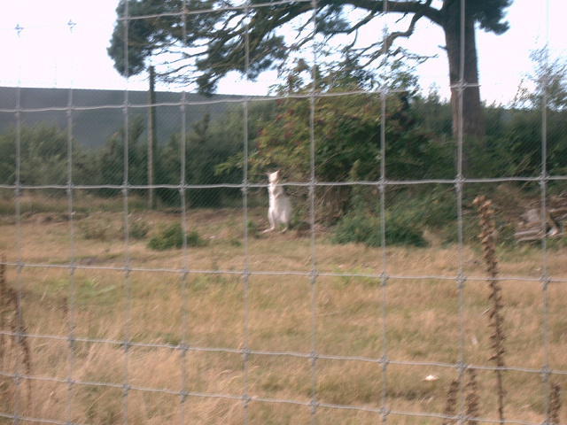 IMAG0029.JPG