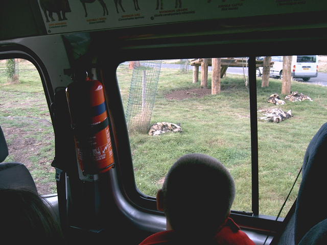 IMAG0031.JPG