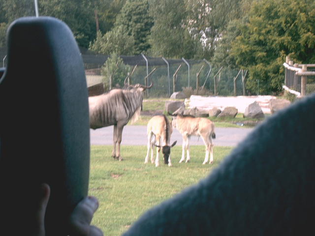 IMAG0045.JPG