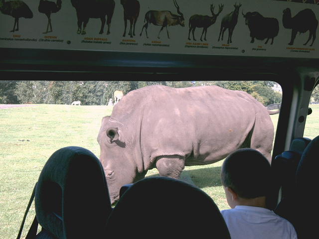 IMAG0046.JPG