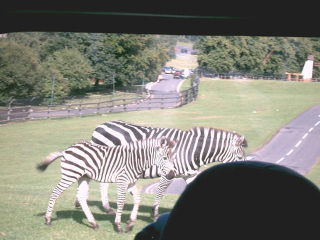 IMAG0050.JPG