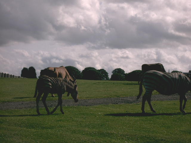 IMAG0053.JPG