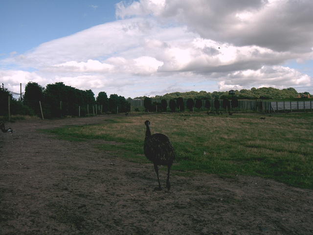IMAG0056.JPG