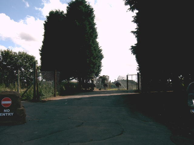 IMAG0059.JPG