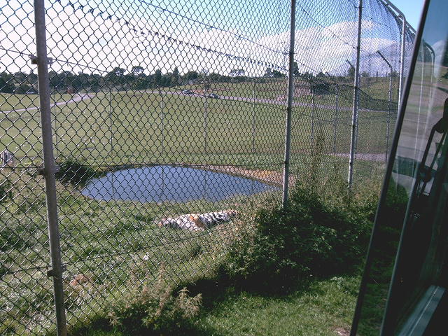 IMAG0060.JPG