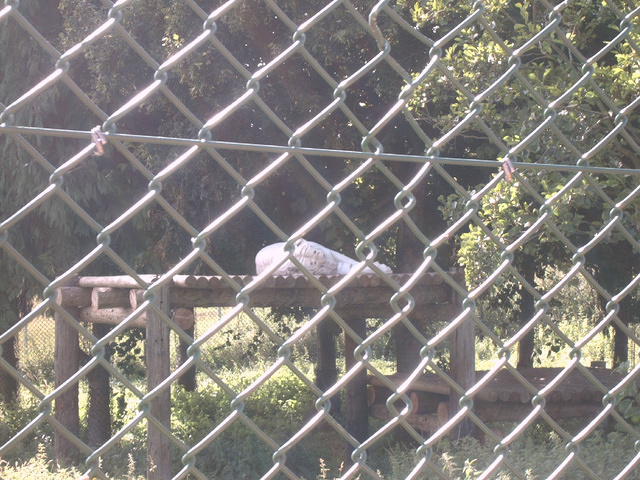 IMAG0066.JPG