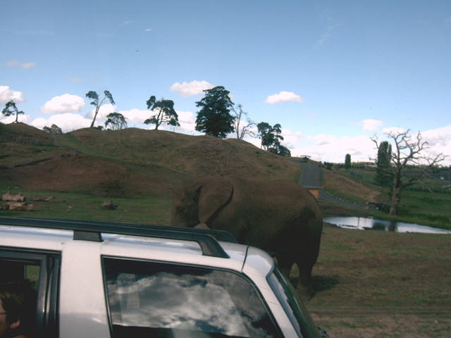 IMAG0074.JPG