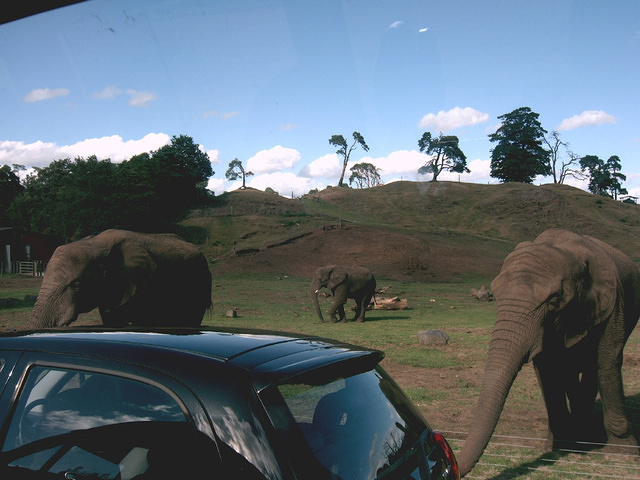 IMAG0076.JPG