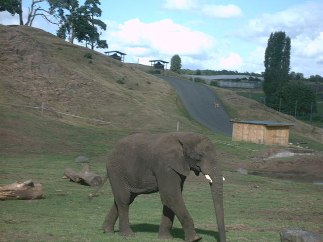 IMAG0077.JPG