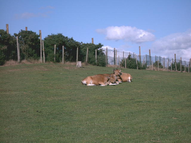 IMAG0078.JPG
