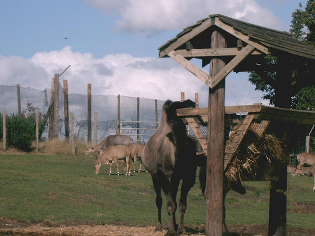 IMAG0080.JPG