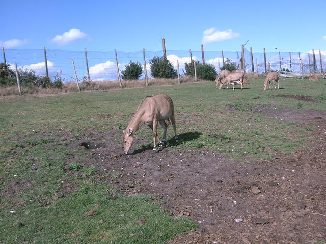 IMAG0082.JPG