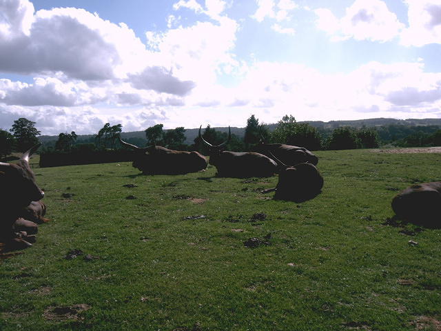IMAG0086.JPG