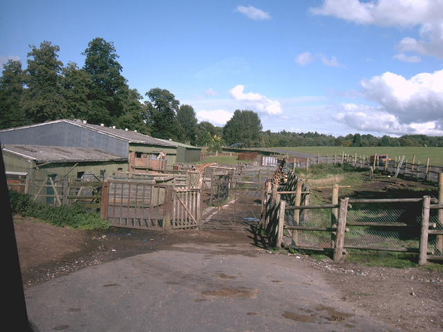 IMAG0088.JPG