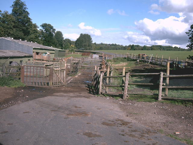 IMAG0089.JPG
