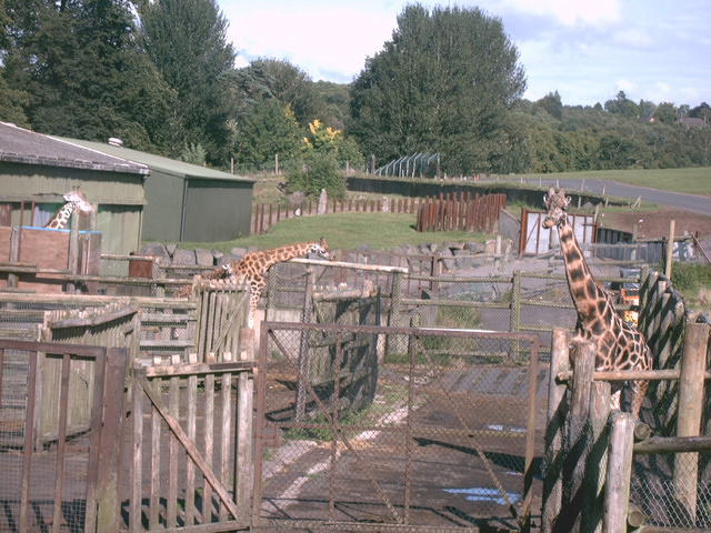 IMAG0090.JPG
