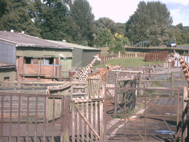 IMAG0091.JPG