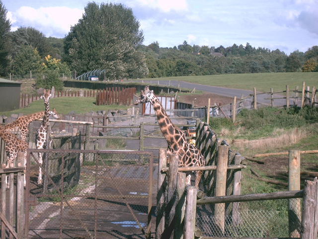 IMAG0092.JPG
