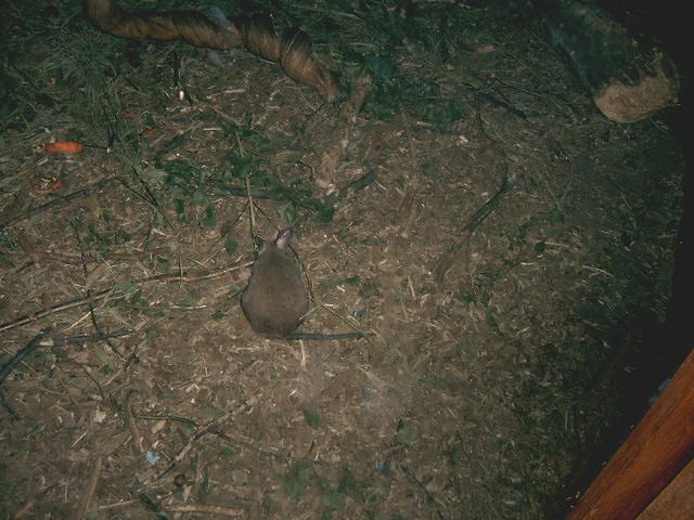 IMAG0098.JPG