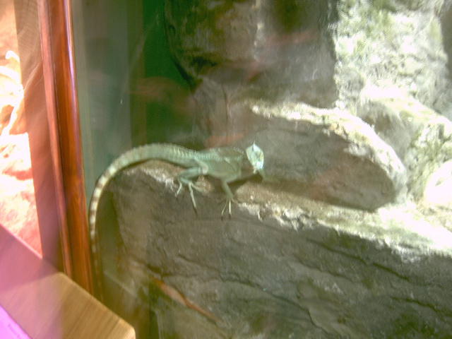 IMAG0101.JPG