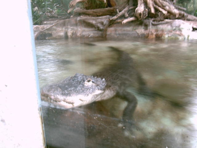 IMAG0104.JPG
