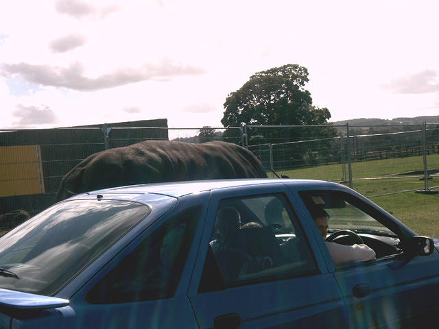 IMAG0047.JPG