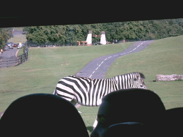 IMAG0051.JPG