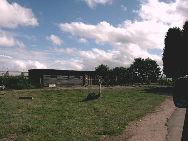 IMAG0058.JPG