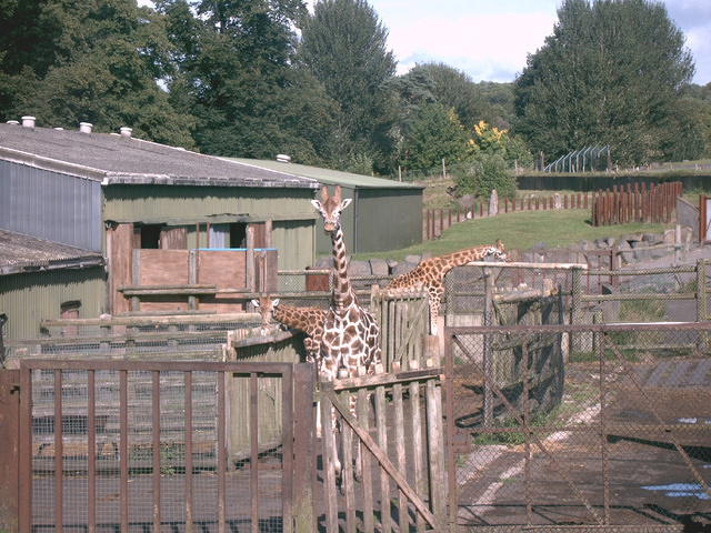 IMAG0093.JPG