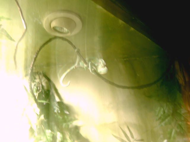 IMAG0105.JPG