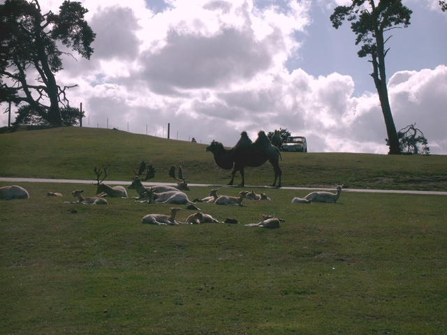 IMAG0068.JPG