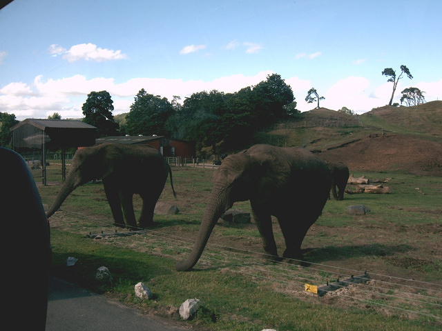 IMAG0075.JPG