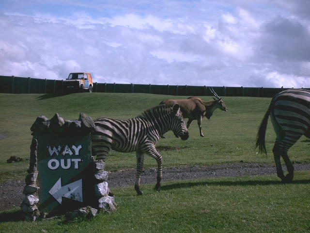 IMAG0052.JPG