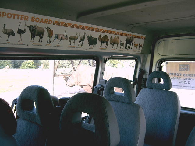 IMAG0054.JPG