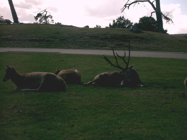 IMAG0069.JPG