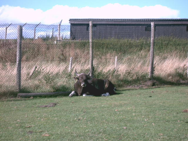 IMAG0079.JPG