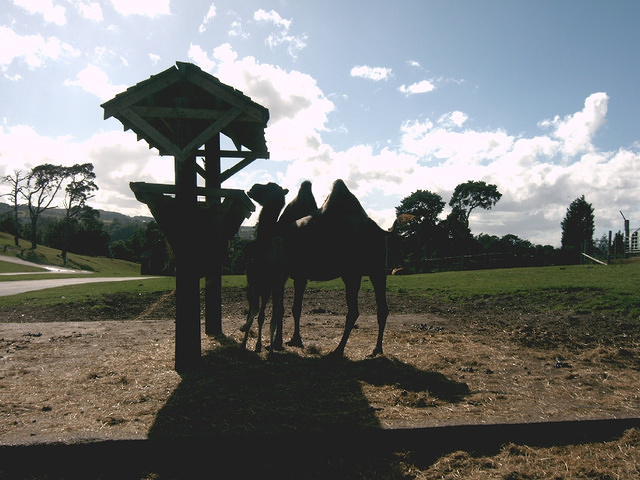 IMAG0081.JPG