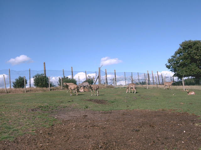 IMAG0083.JPG
