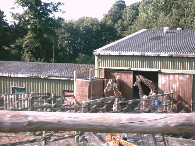 IMAG0096.JPG